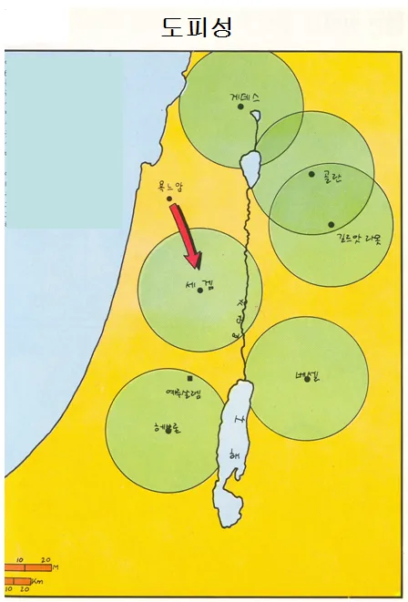 원고에 실린 그림