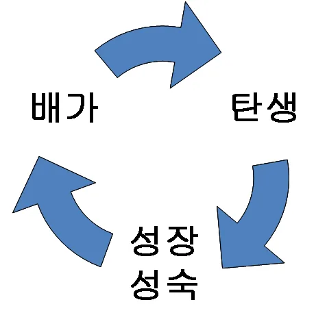 원고에 실린 그림