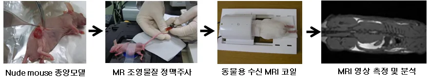 원고에 실린 그림