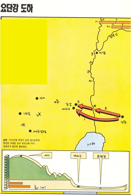원고에 실린 그림